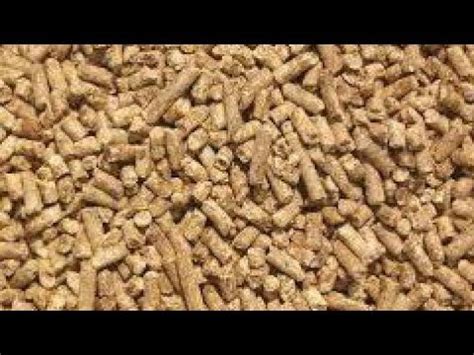 Looking for the best chicken feed? How to Make Broiler Poultry Feed - Formula - 9 || Chicken ...