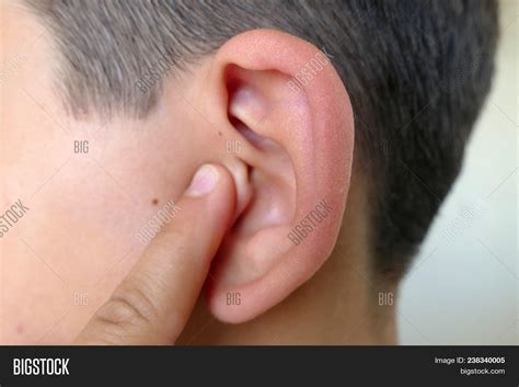 Scratch Ear Cat Trying To Scratch Ear Stock Photo Download Image