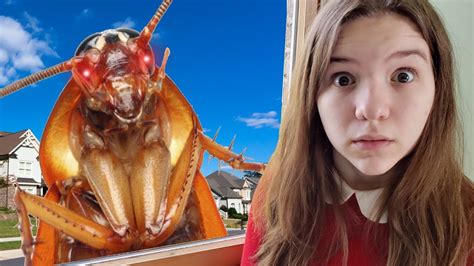 giant cockroach invasion youtube