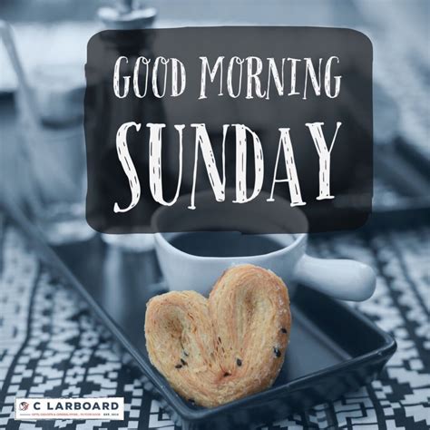 Enjoy your Sunday! | Sunday morning quotes, Happy sunday quotes, Sunday quotes