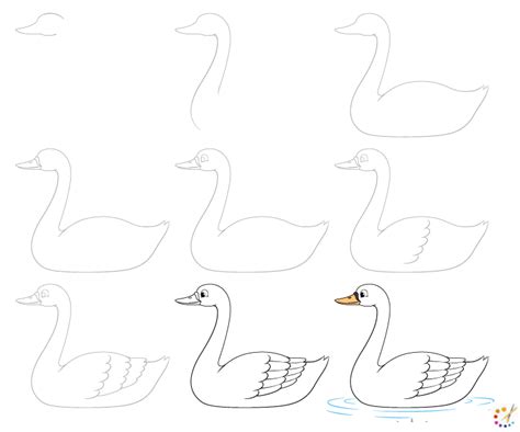 How To Draw A Swan Step By Step For Kids And Beginners Unianimal