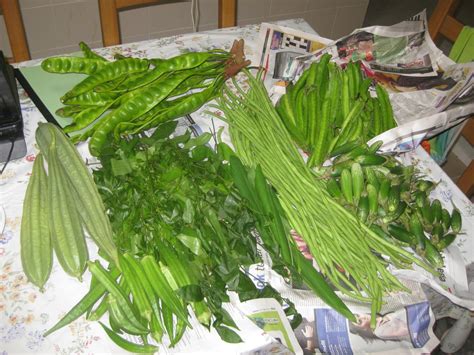 Sayur Sayuran Dari Kampung Koleksi Resepi Sedap