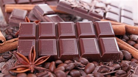 Chocolate Facts Fun Facts About Chocolate Interesting Facts