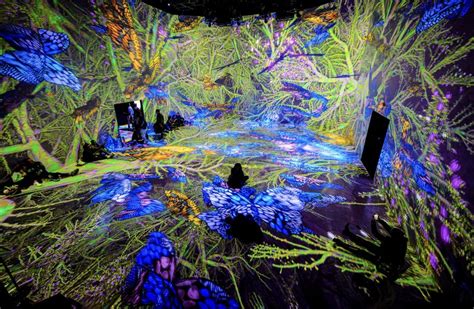 The Best Immersive Art Experiences In Washington Dc — Sarah Ransome Art