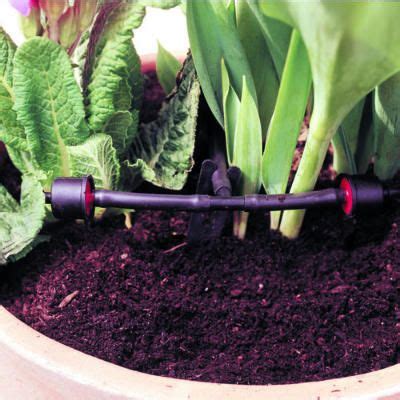 The plant pots or containers should: How to set up drip watering for container gardens ...