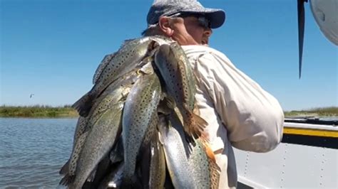 A chandelier is a branched ornamental light fixture designed to be mounted on ceilings or walls. Fishing the Chandeleur Islands for big speckled trout ...