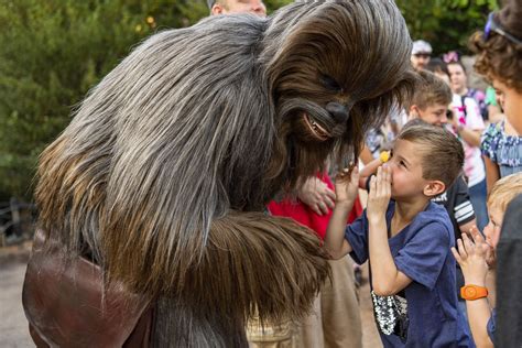 10 Walt Disney World Experiences That Will Make You Feel The Feels