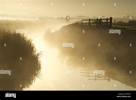 Marsh Mist Uk Morning Hi Res Stock Photography And Images Alamy