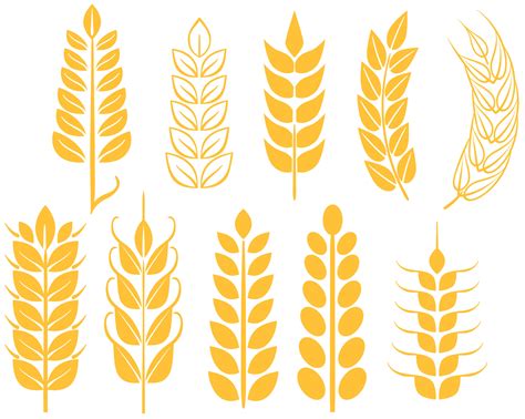 Wheat Grain Vector Art Icons And Graphics For Free Download