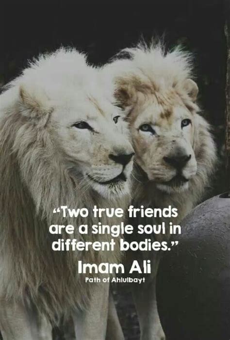 Image Result For Imam Ali Lion Love Quotes For Him True Friends