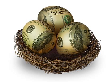 The Nest Egg Builders