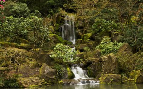 Waterfall Green Forest Jungle Rocks Stones Moss Hd Wallpaper Nature