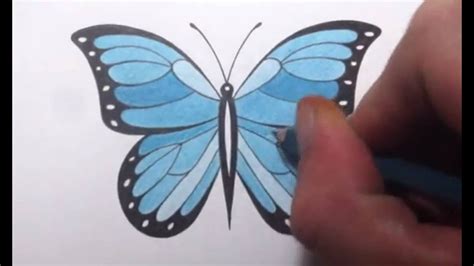 How To Draw A Butterfly Viyoutube