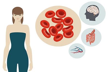 La vitamine b3 aussi appelée vitamine pp ou niacine apporte divers bienfaits au corps. Vitamine B3 - Vitamine PP - Niacine