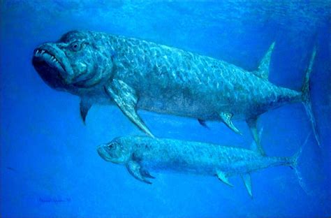 Ocean Dinsaurs The Prehistoric Ocean Illustrations Of