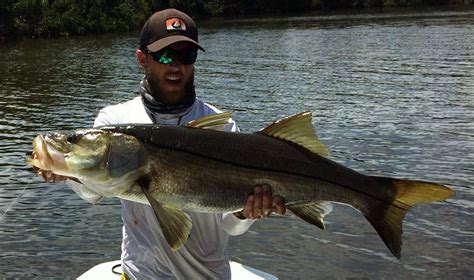 This article will discuss how to catch a snook with information on what makes this type of fish so great! Atlantic Snook Season Closes June 1 - Florida Sportsman