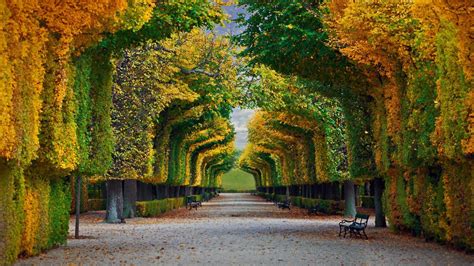Nature Landscape Trees Forest Fall Park Bench Leaves Vienna