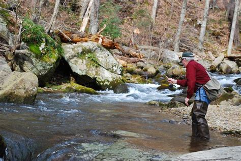 Shenandoah National Park Brook Trout Stream Near Luray Virginia In The