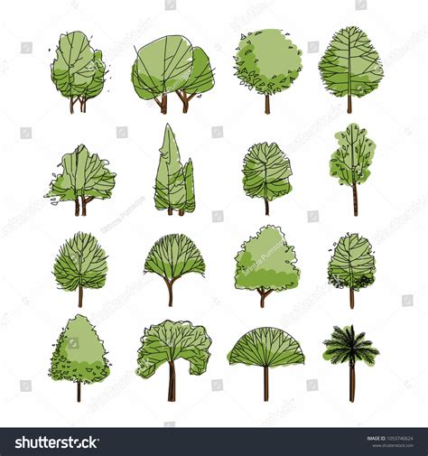 Top Tree Elevation Sketch Best Seven Edu Vn