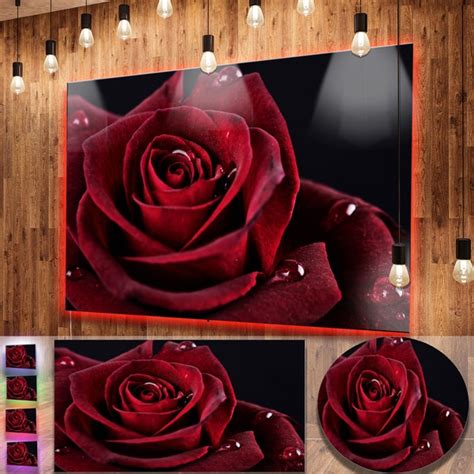 Shop Designart Red Rose With Raindrops On Black Flowers