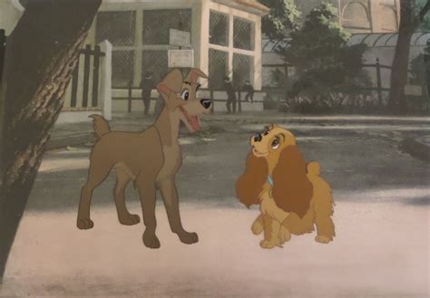 Lady And The Tramp Production Cel Id Maydis140 Van Eaton Galleries