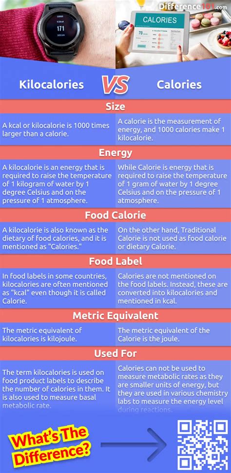Kilocalories Vs Calories 6 Key Differences Pros And Cons Similarities