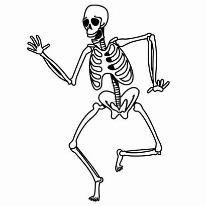 Skeleton Coloring Pages Cartoon Skeletons Printable Drawing