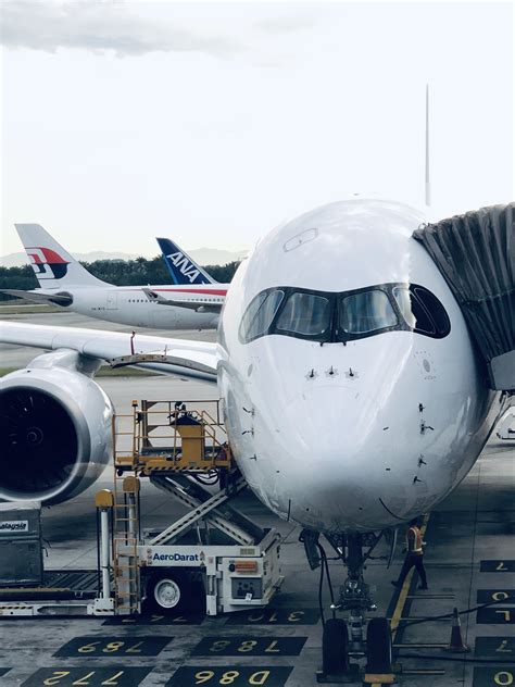 Malaysia airlines takes over 40,000 daily guests on memorable journeys inspired by malaysia's diverse richness. Malaysia Airlines Seat Reviews | SKYTRAX