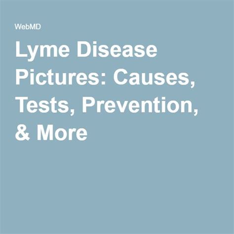 Slideshow Lyme Disease What You Need To Know About Symptoms Causes