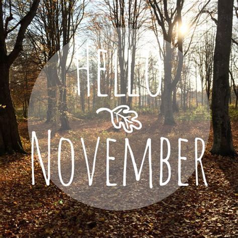 Hello November Pictures Photos And Images For Facebook Tumblr