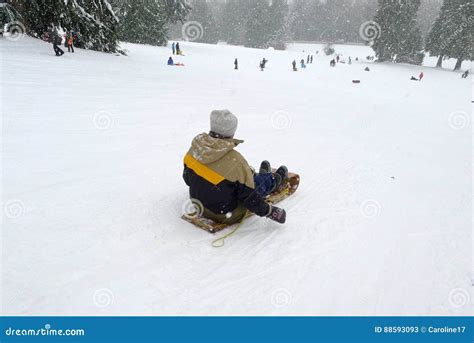 Man Sliding Down On The Toboggan On Burnaby Mountain Stock Image