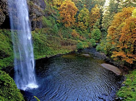 Silver Falls State Park Oregon Photograph By Lindy Pollard Pixels