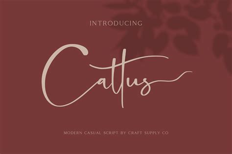 We have many free minecraft fonts that you can download. Cattus - Modern Casual Script Font By Craft Supply Co ...
