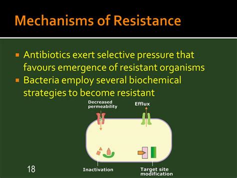 PPT Mechanisms Of Antibiotic Resistance PowerPoint Presentation Free Download ID