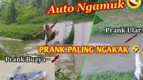 Prank Buaya Dan Ular Raksasa Kocak Prank Lucu Konten Lucu Video