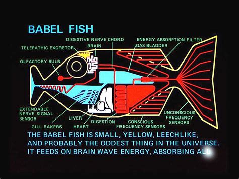 Start with a simple basic web page. Google Translate - The Real Life Babel Fish From ...