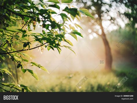 Scenic Sunny Natural Image And Photo Free Trial Bigstock