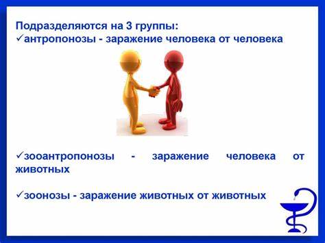 Инфекционные заболевание стол диет Основные инфекционные заболевания и их классификация - презентация онлайн Основные инфекционные заболевания и их классификация - презентация онлайн Инфекционные заболевание стол диет