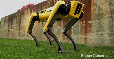 Boston Dynamics New Spotmini Robot Looks Ready For A Walk Come