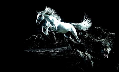 Horse Prints And Paintings Wallpaper Best Hd Wallpapers