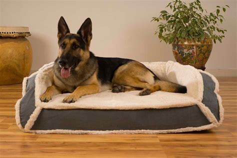 German Shepherd Dog Beds
