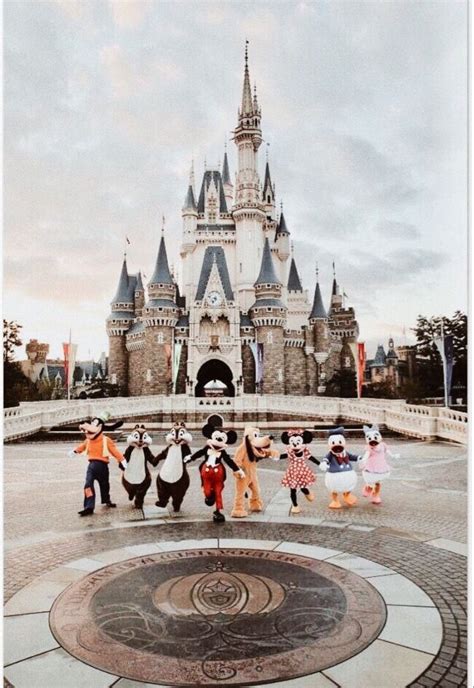 Disney Aesthetic Disney World Pictures Disney Aesthetic Disney Collage