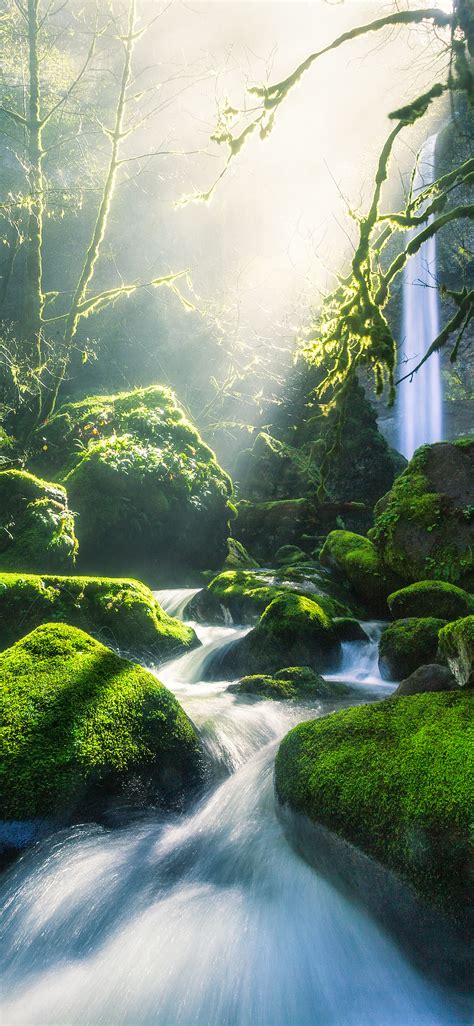 We did not find results for: Free download Top 80 Nature iPhone Wallpapers Download HD ...
