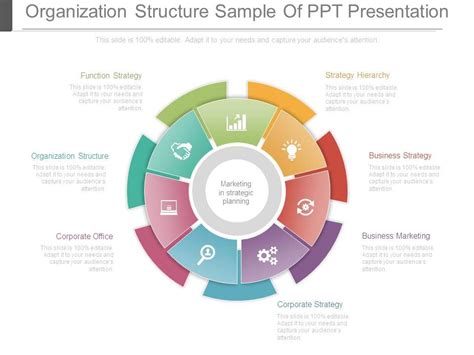 Organization Structure Sample Of Ppt Presentation