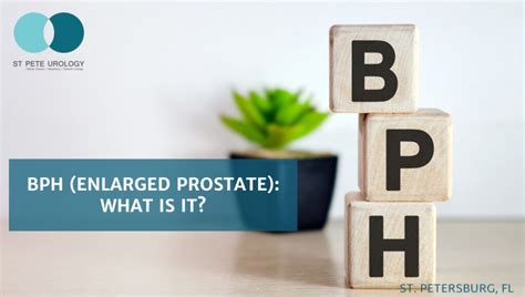 Bph Enlarged Prostate What Is It St Pete Urology Renal