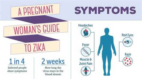 Zika And Pregnancy Guidelines For Pregnant Women And Ttc What To Expect
