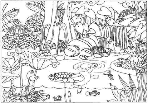 Amazon Rainforest Coloring Pages Brazil Jungle Coloring Pages Zoo