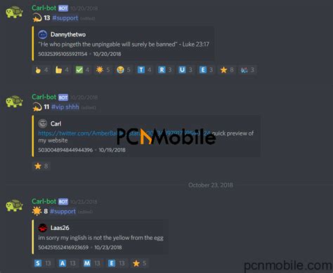 Check Out The 6 Best Discord Bots For Your Server In 2020 Pc N Mobile