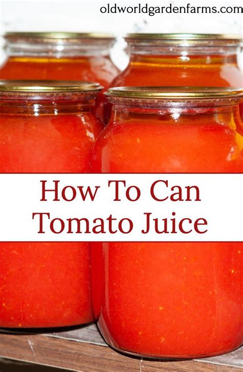 How To Make And Can Tomato Juice An Easy Way To Preserve Tomatoes