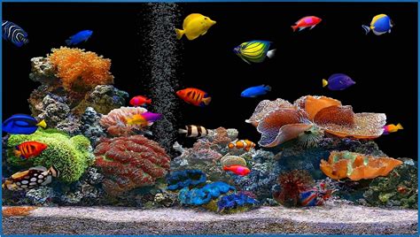 Fish Aquarium Screensaver For Mobile Download Free